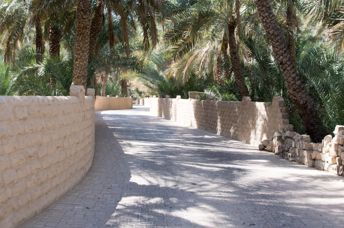 Pathway, Al Ain Oasis, Al Ain, UAE