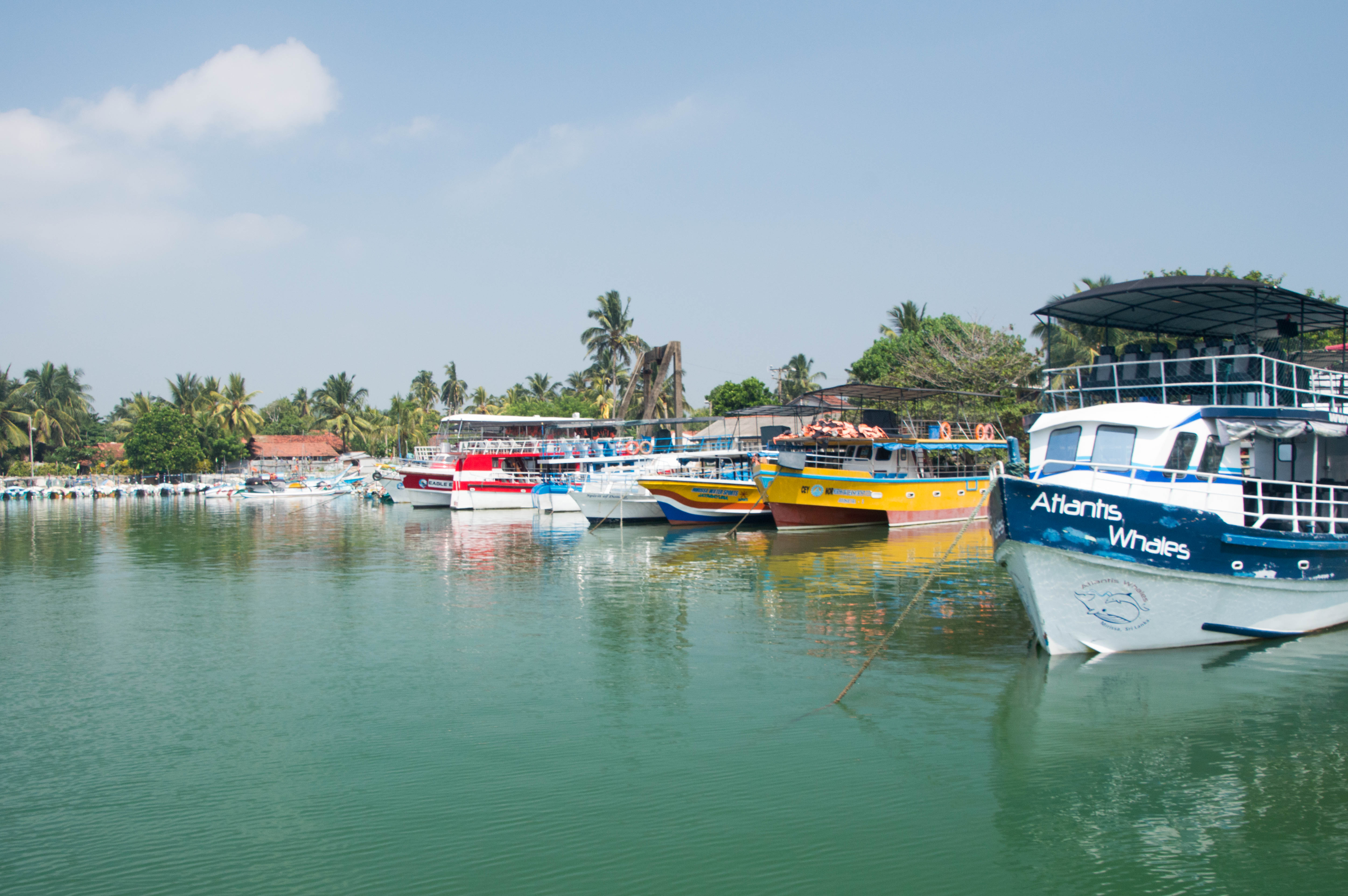 Boats, Mirissa, Sri Lanka